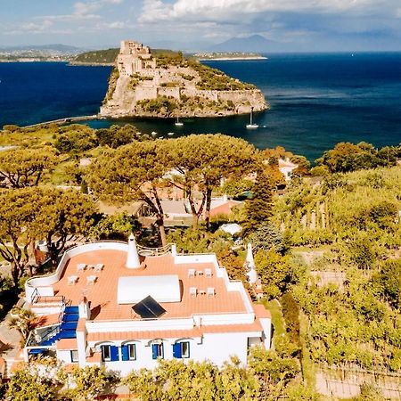 Villa Livia Ischia Eksteriør billede